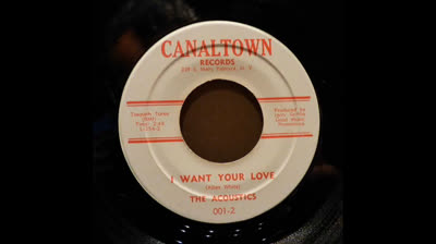 Acoustics (1966) - I Want Your Love
