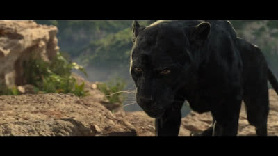 Mowgli La Legende de la jungle