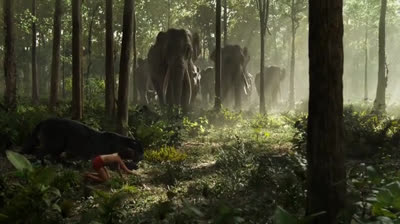 Le Livre de la jungle