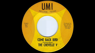 Chevelle V (1965) - Come back bird