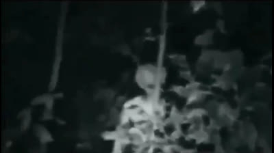 Alien pas trés discret