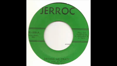 Sleepless Knights (1967) - Driving Me Crazy