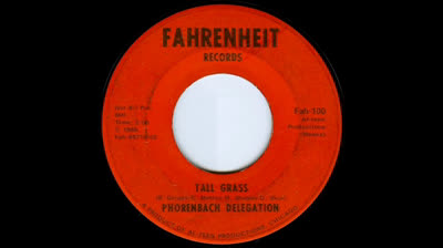 Phorenbach Delegation (1968) - Tall grass