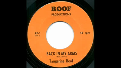 Tangerine Roof (1966) - Back in my arms