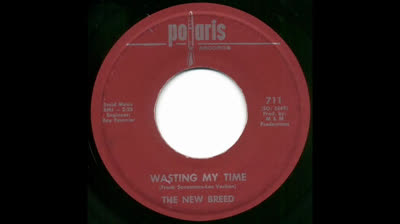 New Breed (1966) - Wasting my time