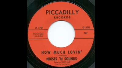 Noises N' Sounds (1966) - How much lovin'