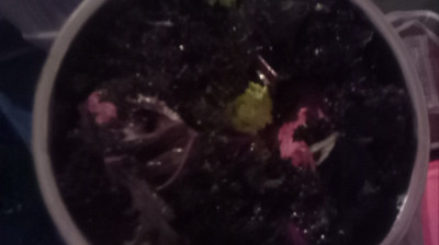 LET'S COOK YUMMY FOOD WITH ELDER V IT'S & TALK.