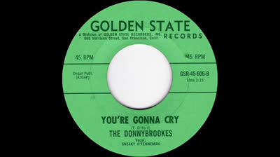 Donnybrookes (1966) - You're Gonna Cry