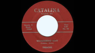 Tremors (1967) - Wondering why