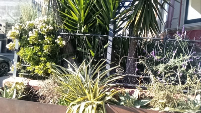 CELEBRATION 25 YEARS OF RESEARCH AND 7 YEARS OF EXPOSING TRUTH.