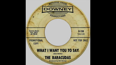 Baracudas (1966) - What I Want You to Say