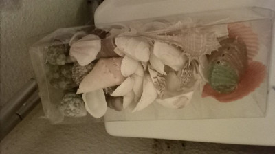 WHY I HAVE NO LOVER & NO FRIEND'S HERE'S WHY.