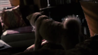 Sempre ao Seu Lado 2009 Dublado Logan