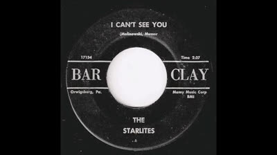 Starlites (1966) - I Can't See You