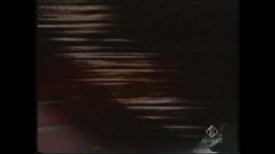 Nash Bridges2x16 The Web