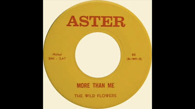 Wild Flowers (1967) - More Than Me