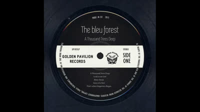 Bleu Forest (1968) - Bitter Street