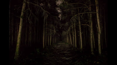 A FLORESTA DOS ESQUESIDOS.