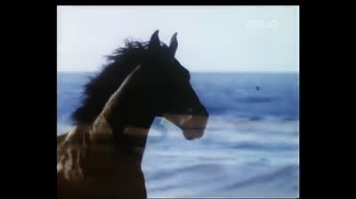 Alfred Hitchcock presenta® La vendetta