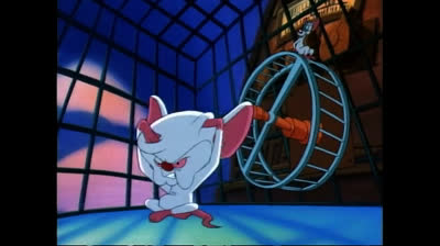 Pinky y Cerebro 04 Latino