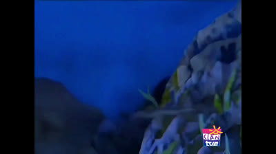 31 Una trampa peligrosa